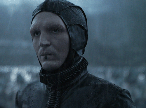 tumblr 1a30496dc4f8c3152ff2d0bfa4b00071 894c2afe 540.gif