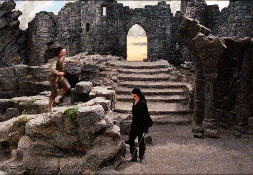 tumblr c924c9cfc82f6972da6e86c408d029d2 01b4cda0 540.gif