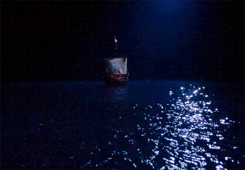 tumblr fe21629e943a35ce870195767b9104de 4fde1950 540.gif