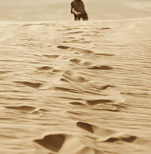 tumblr d655b5aba8055e69bf058ae0c227411f 7deecb8e 540.gif