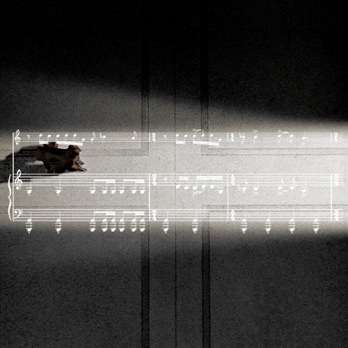tumblr a4c83d7395816477d205e3c20136db04 f936ebed 540.gif