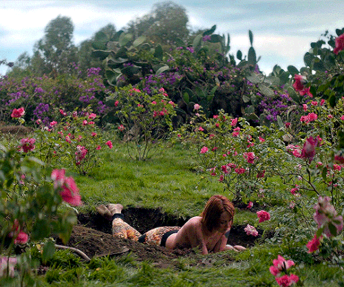 tumblr 62c1d4163e311b82ba77fdd093eaf637 64ba22db 540.gif