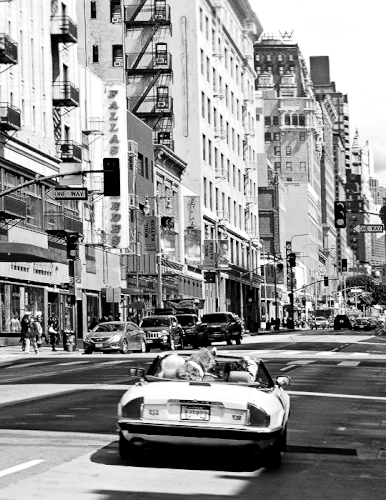 tumblr 278a4b48af302d0dcf385b0149f71fc6 48e7d856 540.gif