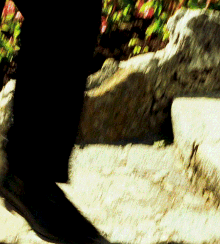 tumblr 7267e7faf3c7a7487686846fa74761f5 b855df52 540.gif