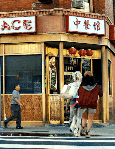 tumblr 4c94300493a7c3297d6a3e66f28ce3a0 cf95fcc3 540.gif