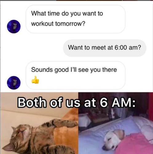 Screenshot 2025 06 03 at 10.52.29 AM.png