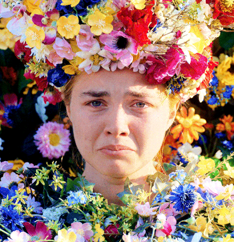 tumblr 6a9cc15f7725d611d92722b251d7f2f7 ca61931f 540.gif