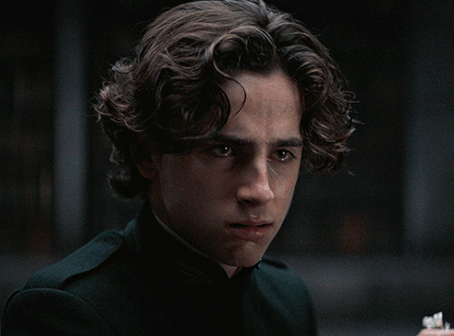tumblr 99265a088655d16b2548f2f35a5d1379 08a593c0 540.gif