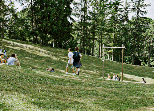 tumblr 0434ee5fa7581e39a81600f12f6ca50e c410d5fb 540.gif