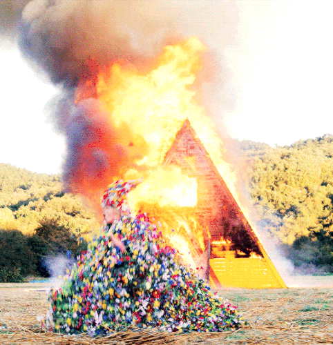 tumblr 18b87235372c32784915f80108d01b65 c27ad63c 540.gif
