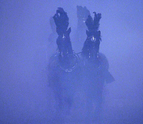 tumblr fb037e6abf35e3c47b132dc13d51bb74 72041320 540.gif