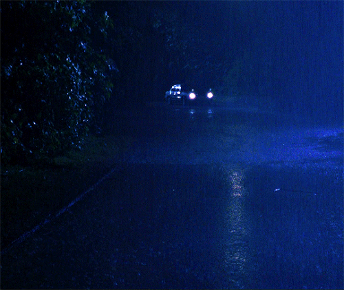 tumblr d2a2d0935232c80362f9c477f2ccecf3 93b74bf2 540.gif