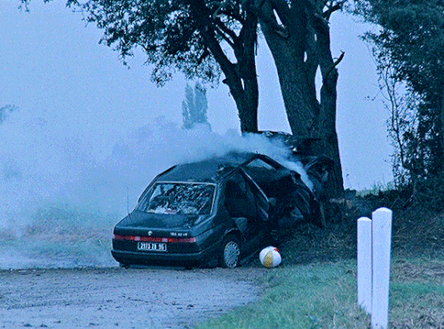 tumblr 5ecd37ecf0e4d2741eb3c3913728e987 feefd9f5 540.gif