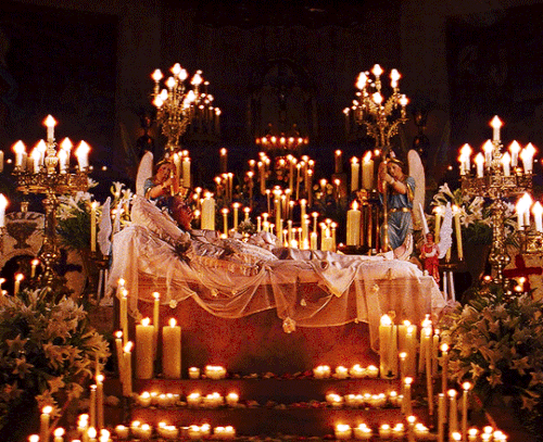 tumblr 91bdddf516737272dc922417cc1f01b0 f638a1d0 540.gif