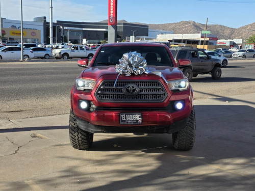 WhatsApp Image 2025 06 03 at 18.43.37.jpg