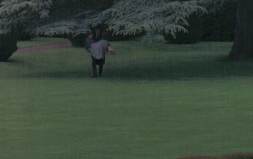 tumblr bd4883840e1e3294864d334cf12af2c8 89f60283 540.gif