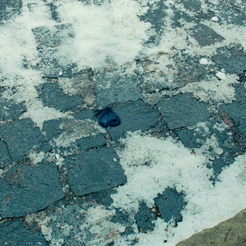 tumblr 3e4bf579620f501c72d3d7bfcd3f3c90 76cc492d 540.gif