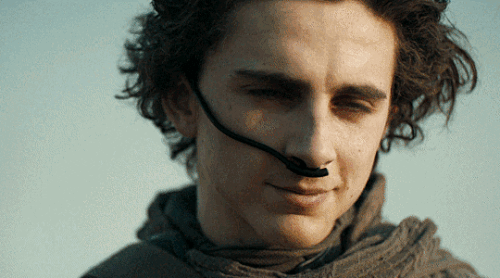 tumblr 3b60a3a5db5d1087f377526f63391c72 54f3c86b 540.gif