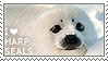 harp seals.png