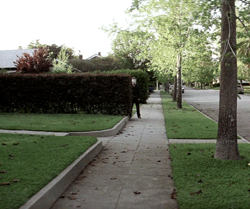 tumblr d96267bf5d2bbe44e1da2b71ca433d98 ec3cc695 540.gif