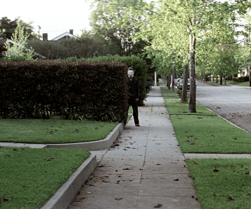 tumblr b374b02dc2ea1de9da02647ca859aa58 927ce0bc 540.gif