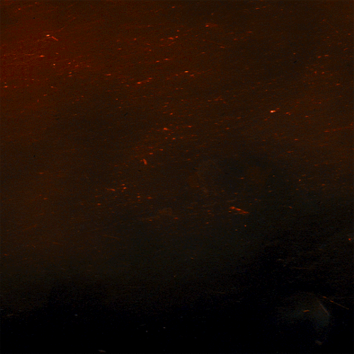 tumblr c13378e11bc4ad1db86d106cbcc864d8 caecf6cd 540.gif