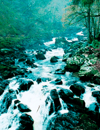 tumblr 6879268ec7e909ba49baa2872ecc7849 a61e42e2 540.gif
