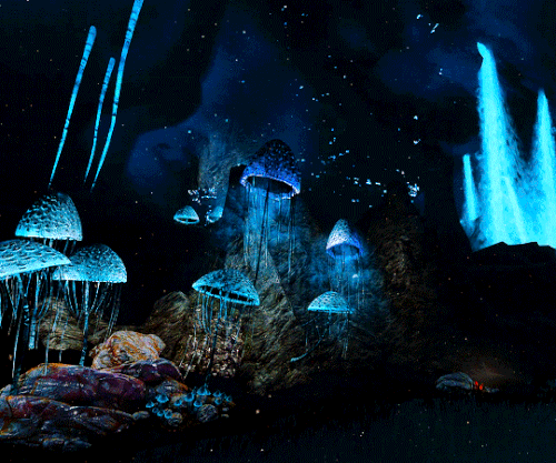 tumblr 43506534fb9d0b11ef7c55899a56bfbf 247e4e1c 540.gif