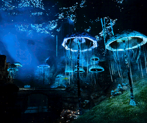 tumblr 804d6d0c190ac2d23f958e6d34e5a422 f71f0cc0 540.gif