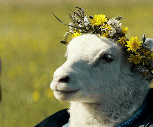 tumblr 20f43a20041a969e1d4faae5241d8748 4514944c 540.gif