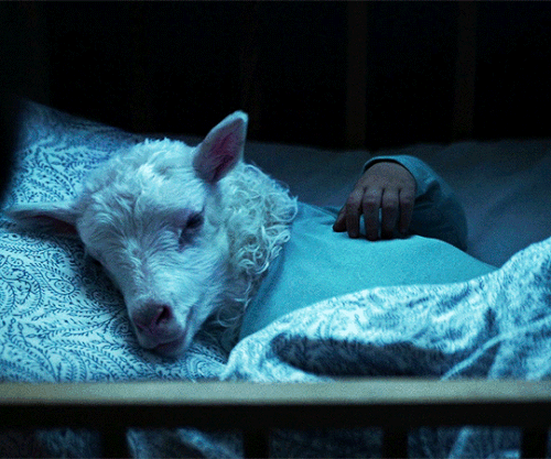 tumblr 9924c5d6dbd7cb5386d780157c4ab8d4 6aa36e5e 540.gif