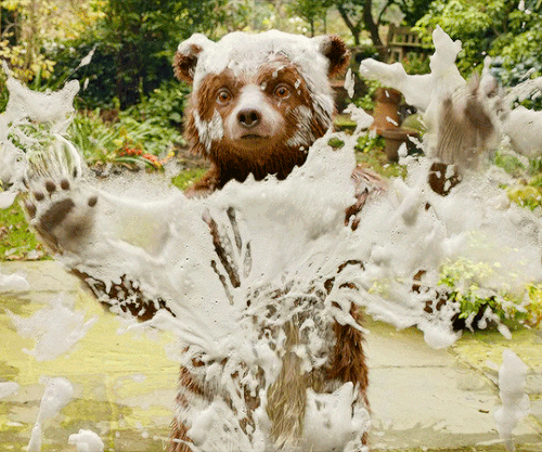 tumblr d96ffa689b52423bc3f7773085ffc4fa 9c2e56b4 540.gif