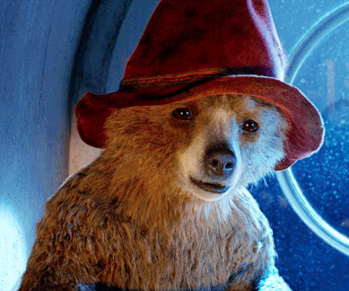 tumblr 925e58523c927955c9c821920755981d a24e1e3d 540.gif