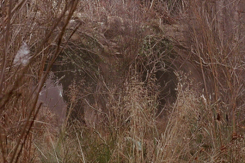 tumblr 18345a52f530547f4f0c995d945ddaf6 15d76292 540.gif