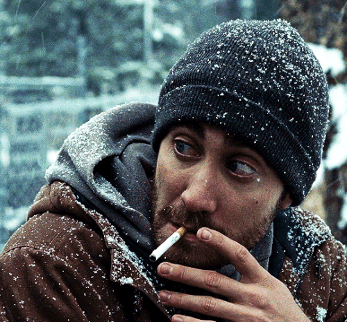 tumblr 29c66a032cfa3bb25182f7261637576a 5b5de535 540.gif