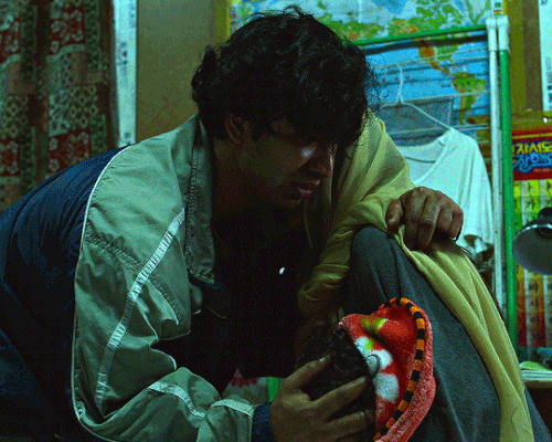 tumblr b51085c1954efca7d8a1e55e259a738a 3d3304d3 540.gif