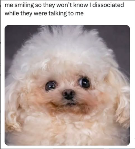 Screenshot 2025 06 04 at 9.48.53 AM.png