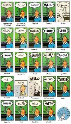 Tintin IMG 2002.jpg