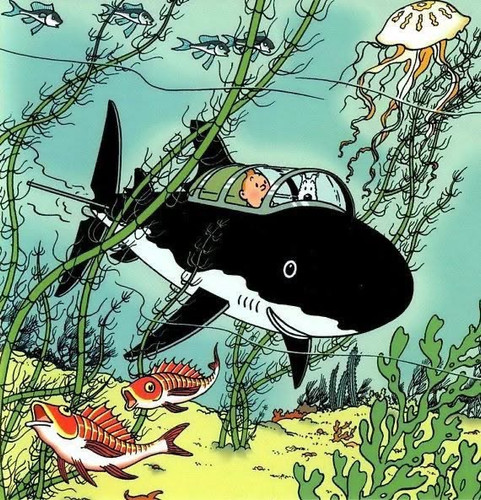 Tintin IMG 2009.jpg