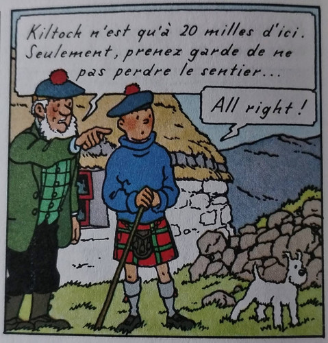 Tintin IMG 2044.jpg
