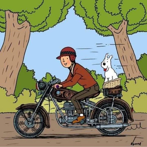 Tintin IMG 2015.jpg