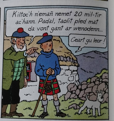 Tintin IMG 2043.jpg