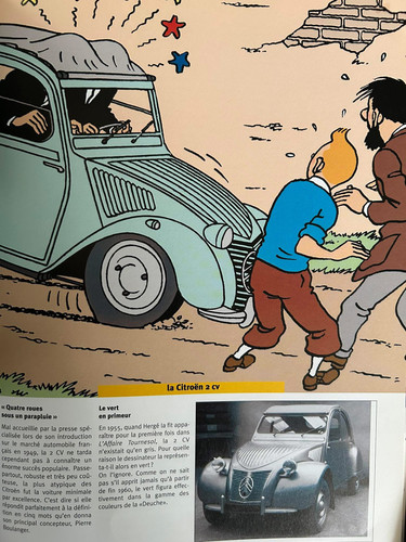Tintin IMG 2014.jpg