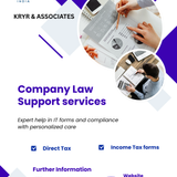 Need startup support for taxes and compliance.