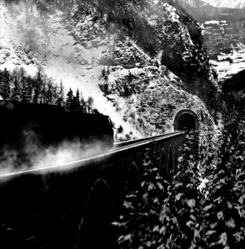 tumblr 266942dfdfd21d670ff060a837d686de 10917b1f 540.gif