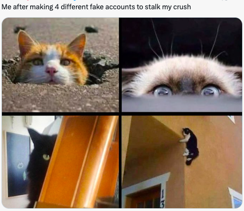 Screenshot 2025 06 03 at 9.05.08 AM.png