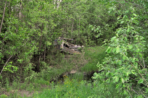 DSC 0014 1.jpg