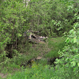 DSC 0014 1