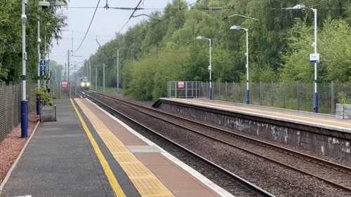 b 1LJ tiJLTRq52Z.jpg