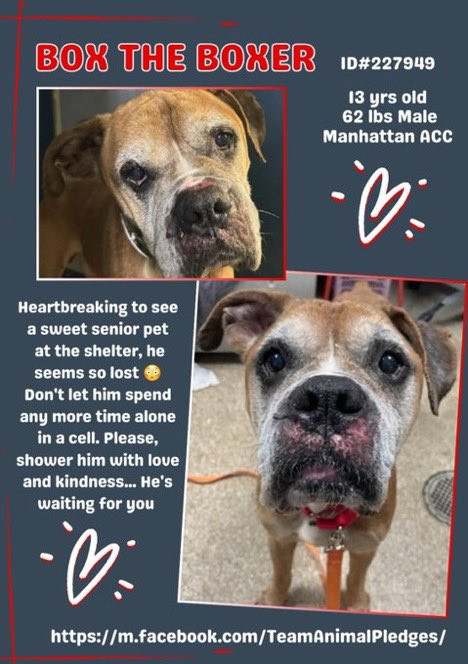 GsL SNaWUAA8PzF?format=jpg.jpg